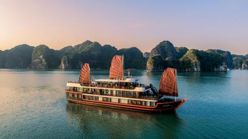 2 days 1 night cozy boutique cruise lan ha bay