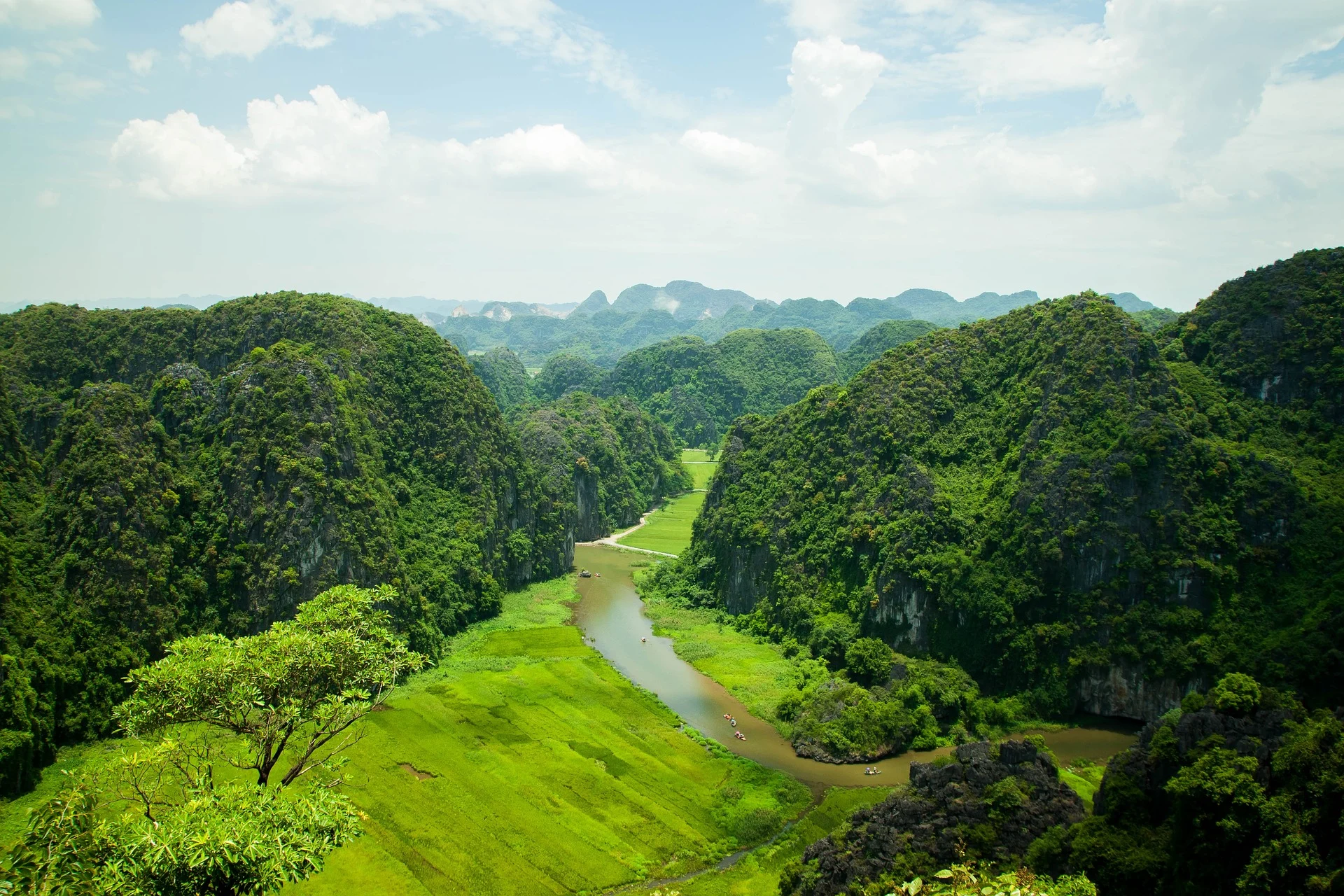 Aerial view of lush green rice fields and limestone mountains in Pu Luong Nature Reserve, Vietnam