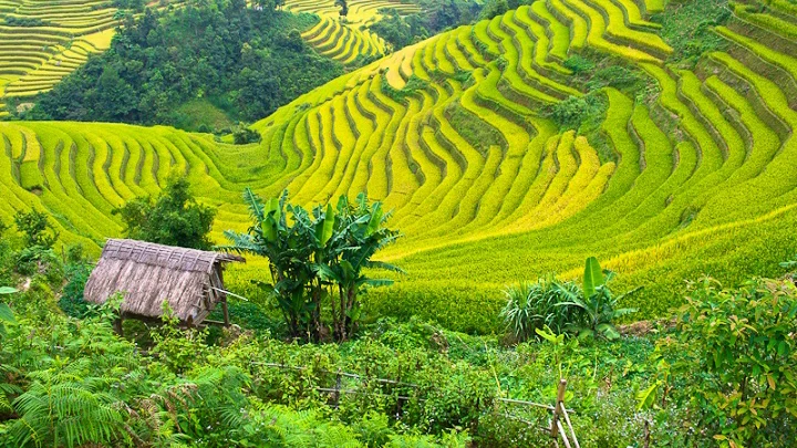 Mai Chau – Pu Luong