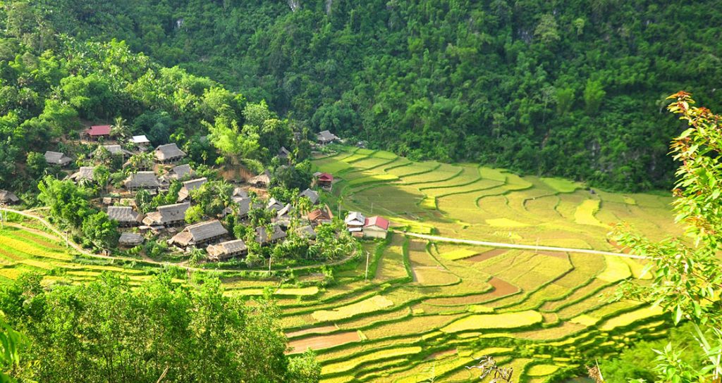 mai chau Pu Luong – Ninh Binh tour 3 Days / 2 Nights