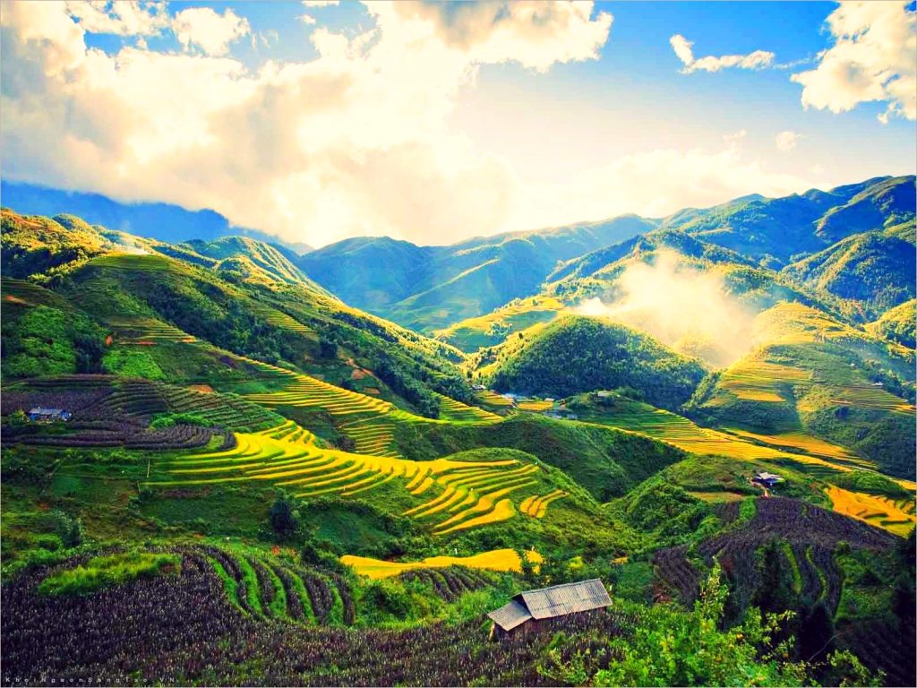 Vietnam Tour