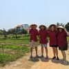 day tour hoi an