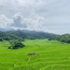 mai chau pu luong ninh binh group tour 4 days