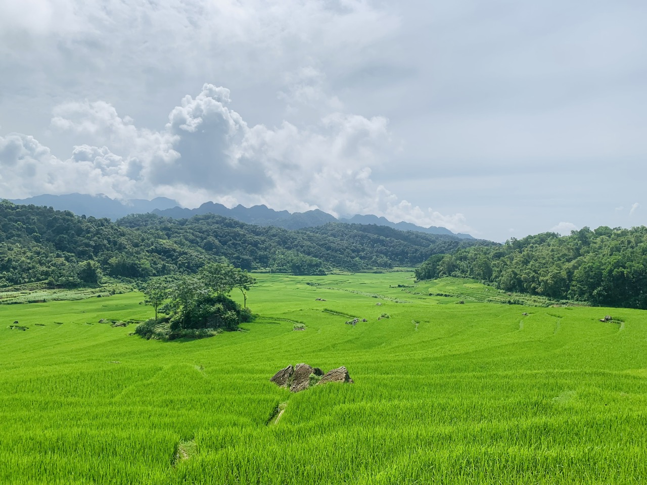 mai chau pu luong ninh binh group tour 4 days