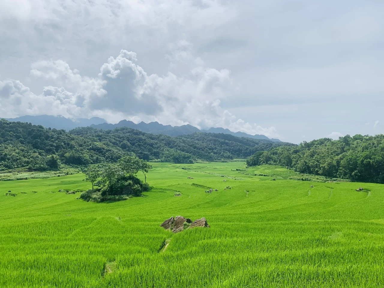 Lush rice terraces and ethnic villages in Pu Luong – eco adventure in vietnam nature tours